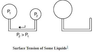 Cohesion and Adhesion in Liquids: Surface Tension and Capillary Action | Basic Physics for IIT JAM
