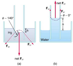 Cohesion and Adhesion in Liquids: Surface Tension and Capillary Action | Basic Physics for IIT JAM