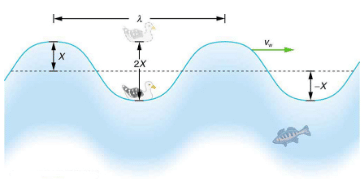Waves - Oscillatory Motion and Waves | Basic Physics for IIT JAM