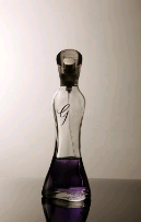 Bernoulli’s Equation