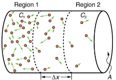 Molecular Transport Phenomena: Diffusion, Osmosis, and Related Processes | Basic Physics for IIT JAM