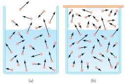 Humidity, Evaporation, and Boiling | Basic Physics for IIT JAM