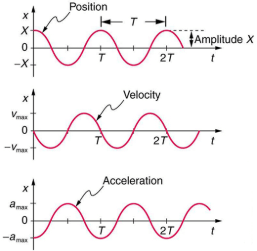 Simple Harmonic Motion: A Special Periodic Motion | Basic Physics for IIT JAM