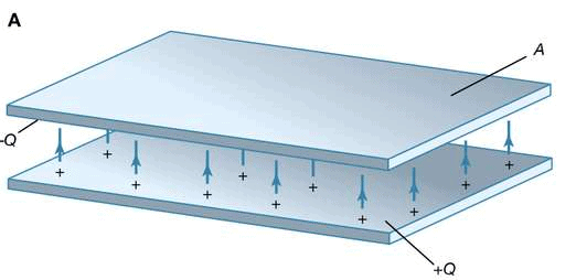 Capacitance | Basic Physics for IIT JAM