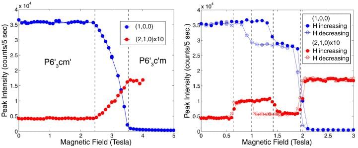 Multiferroic Materials | Basic Physics for IIT JAM