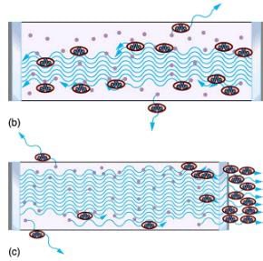 Applications of Atomic Excitations and De-Excitations | Modern Physics for IIT JAM