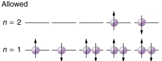 The Pauli Exclusion Principle | Modern Physics for IIT JAM