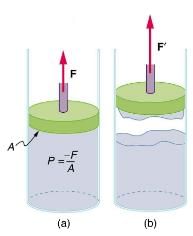 Cohesion and Adhesion in Liquids: Surface Tension and Capillary Action | Basic Physics for IIT JAM
