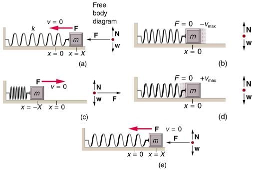 Simple Harmonic Motion: A Special Periodic Motion | Basic Physics for IIT JAM