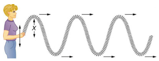 Waves - Oscillatory Motion and Waves | Basic Physics for IIT JAM