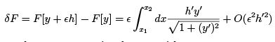 Variational Principle : Euler-Lagrange Equation and its Applications - 1 | Physics for IIT JAM, UGC - NET, CSIR NET