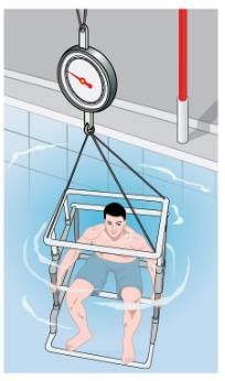 Archimedes’ Principle | Basic Physics for IIT JAM