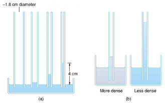 Cohesion and Adhesion in Liquids: Surface Tension and Capillary Action | Basic Physics for IIT JAM