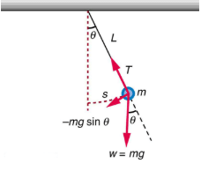 The Simple Pendulum | Basic Physics for IIT JAM