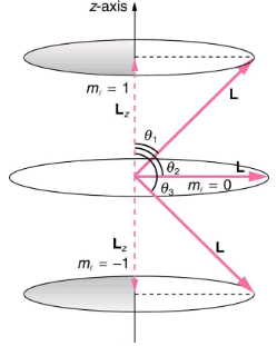 Quantum Numbers and Rules | Modern Physics for IIT JAM