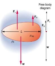 Motion of an Object in a Viscous Fluid | Basic Physics for IIT JAM