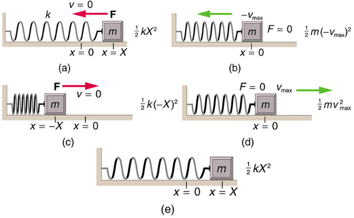 Energy and the Simple Harmonic Oscillator | Basic Physics for IIT JAM