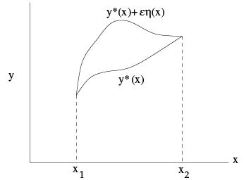Variational Principle : Euler-Lagrange Equation and its Applications - 1 | Physics for IIT JAM, UGC - NET, CSIR NET