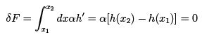 Variational Principle : Euler-Lagrange Equation and its Applications - 1 | Physics for IIT JAM, UGC - NET, CSIR NET