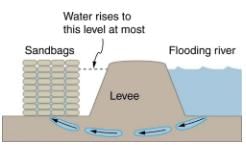 Variation of Pressure with Depth in a Fluid | Basic Physics for IIT JAM