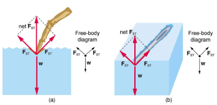 Cohesion and Adhesion in Liquids: Surface Tension and Capillary Action | Basic Physics for IIT JAM