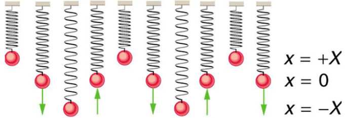 Simple Harmonic Motion: A Special Periodic Motion | Basic Physics for IIT JAM