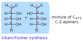 Carbohydrates (Part -1) - Chemistry of Natural Products, Organic Chemistry, CSIR-NET - Government Jobs