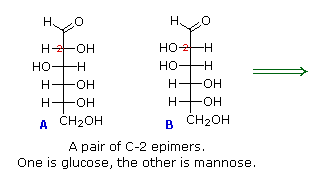 Carbohydrates (Part -1) - Chemistry of Natural Products, Organic Chemistry, CSIR-NET - Government Jobs