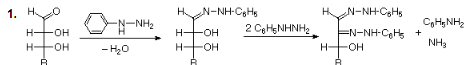 Carbohydrates (Part -1) - Chemistry of Natural Products, Organic Chemistry, CSIR-NET - Government Jobs