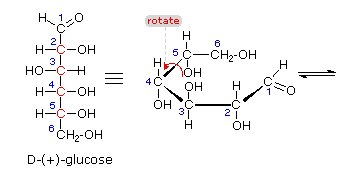 Carbohydrates (Part -1) - Chemistry of Natural Products, Organic Chemistry, CSIR-NET - Government Jobs
