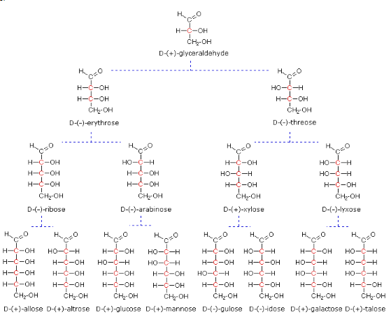 Carbohydrates (Part -1) - Chemistry of Natural Products, Organic Chemistry, CSIR-NET - Government Jobs