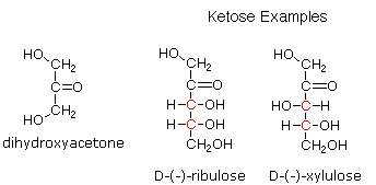 Carbohydrates (Part -1) - Chemistry of Natural Products, Organic Chemistry, CSIR-NET - Government Jobs