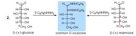 Carbohydrates (Part -1) - Chemistry of Natural Products, Organic Chemistry, CSIR-NET - Government Jobs