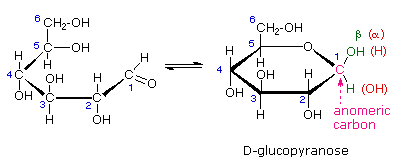 Carbohydrates (Part -1) - Chemistry of Natural Products, Organic Chemistry, CSIR-NET - Government Jobs
