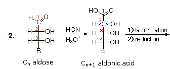 Carbohydrates (Part -1) - Chemistry of Natural Products, Organic Chemistry, CSIR-NET - Government Jobs