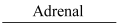 NCERT Solutions Class 11 Biology Chapter 22 - Chemical Coordination and Integration