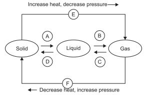 Matter In Our Surroundings, Matter - Its Nature and Behaviour, Science, Class 9 NCERT Solutions