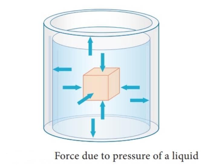 MCQ (Solution) - Pressure, Winds, Storms, and Cyclones | Science Curiosity Class 8 -  New NCERT