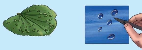 Water—The Essence of Life NCERT Solutions | Our Wondrous World  Class 5 - New NCERT