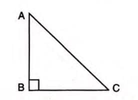 3. Right-Angled Triangle