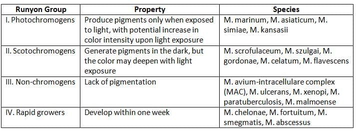Mycobacteria Chapter Notes | Microbiology - NEET PG