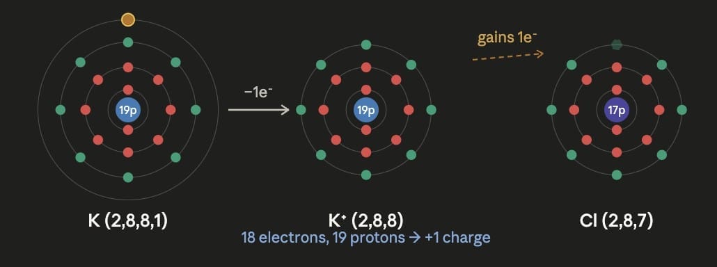 Pause and Ponder (Page 173)