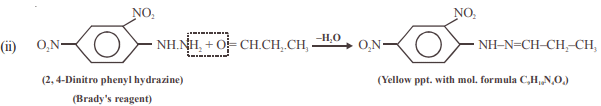 WBJEE Subjective Phy & Chem Sample Paper | WBJEE Sample Papers, Section Wise & Full Mock Tests 2025