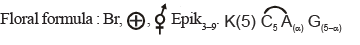 WBJEE Biology (Descriptive) - Previous Year Paper, 2011 | WBJEE Sample Papers, Section Wise & Full Mock Tests 2025