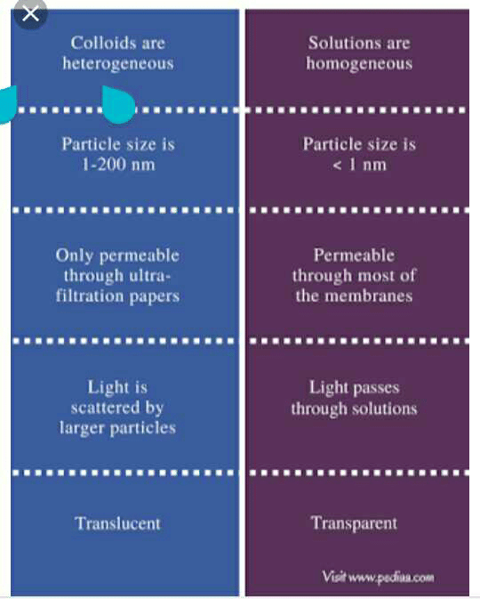 Write any two different between solution and colloid? - EduRev Class 9 ...