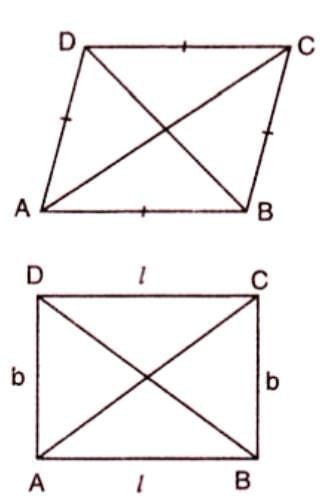 Pythagoras Theorem Chapter Notes | Mathematics Class 9 ICSE