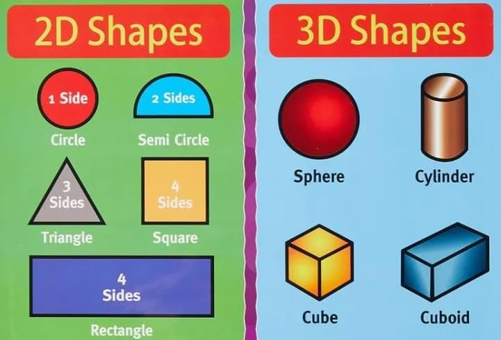 Three-dimensional Shapes Chapter Notes | Mathematics Class 6 ICSE