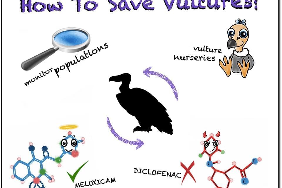 Shankar IAS Summary: Conservation Efforts | Famous Books for UPSC Exam (Summary & Tests)