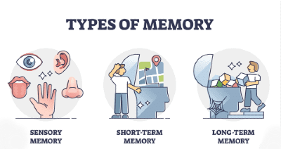 Types of Memory Storage