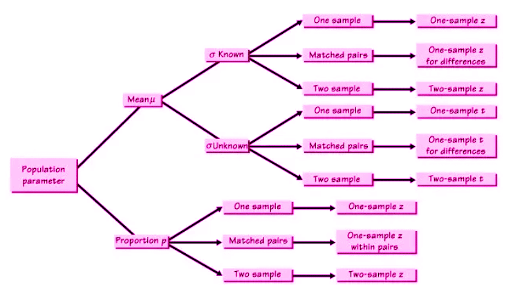 Carrying Out a Test for the Slope of a Regression Model Chapter Notes | AP Statistics - Grade 9